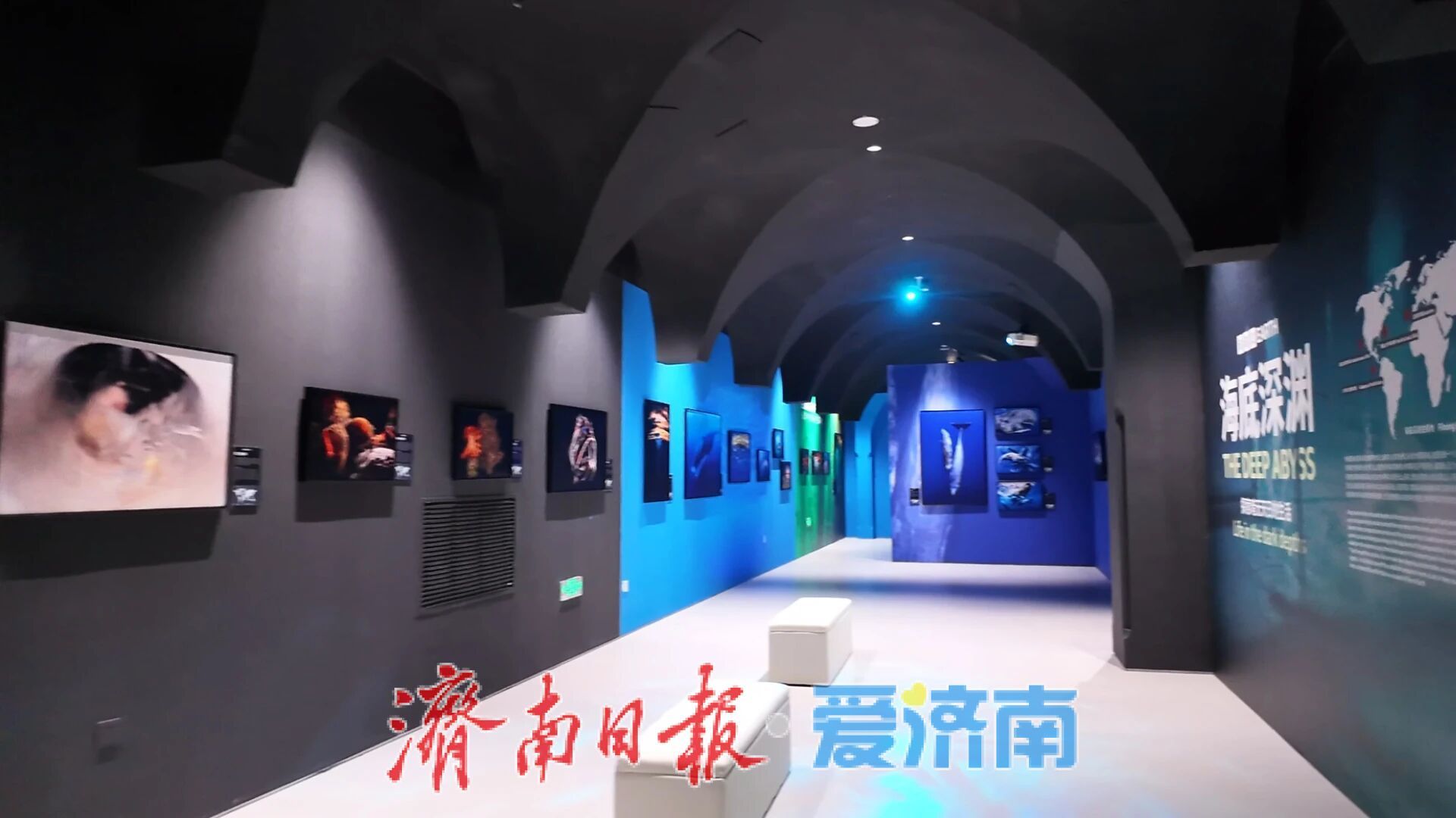 山东首展！BBC EARTH·极地生灵数字影像沉浸体验大展在山东大厦启幕