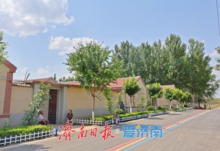 济阳区改善村居环境 绘就乡村美丽画卷