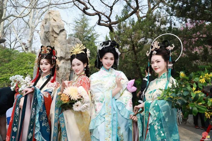2026“一年四季·泉在济南”主题活动推介暨春游花朝·2026济南花朝荟盛大启幕