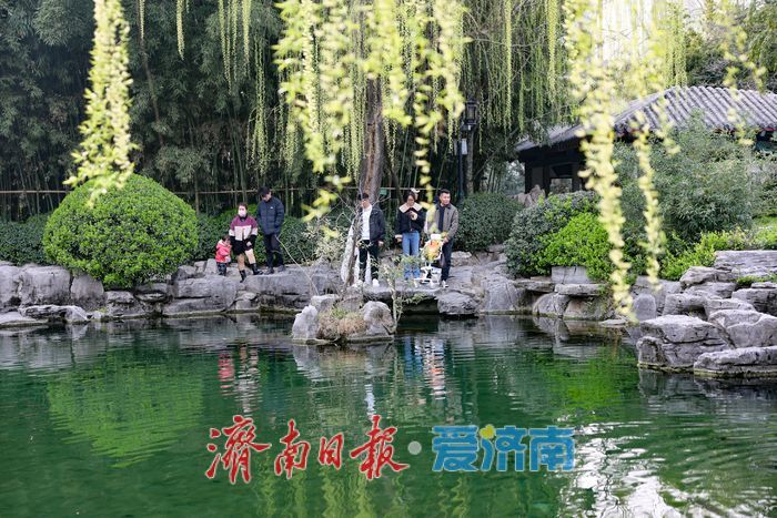 泉韵满庭春 趵突泉春日泉涌引客来