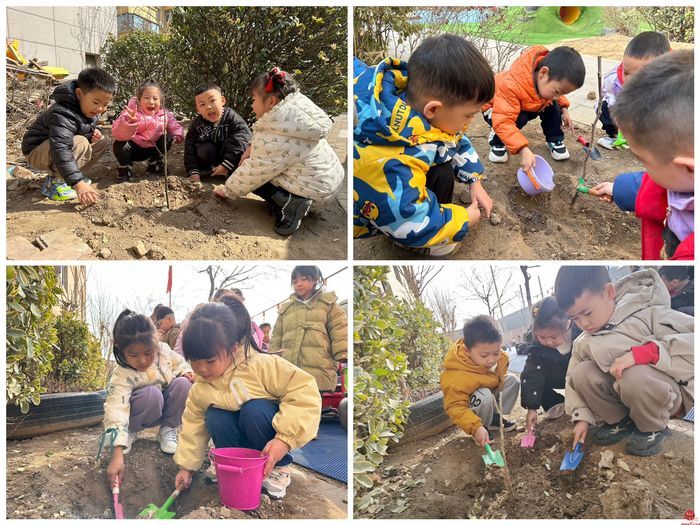 植一株绿色，溢一片春光——济南市天桥区尚品清河幼儿园植树节系