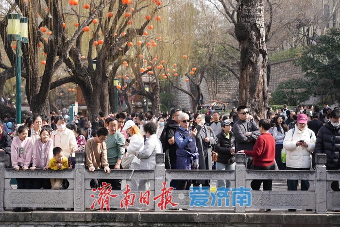 泉在济南过大年丨泉水游持续升温，赏泉品茗乐享新春