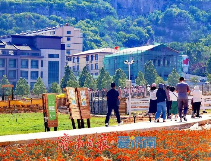 镜头定格乡风文明 光影见证振兴蝶变 “文明乡村入镜来”主题摄影活动在芦南村启幕