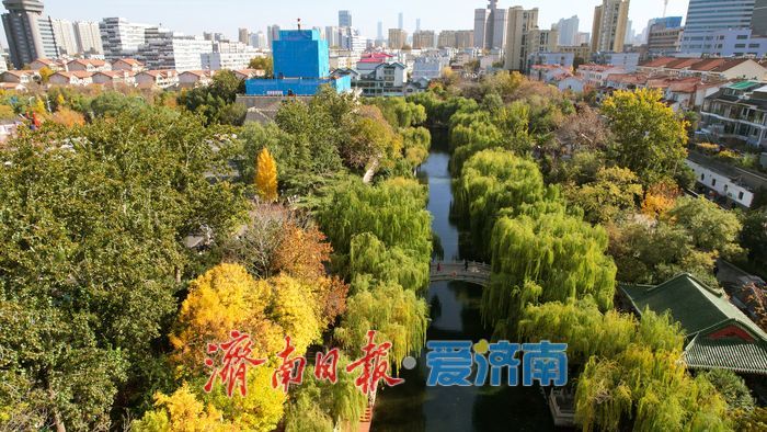 初冬泉城醉美游人