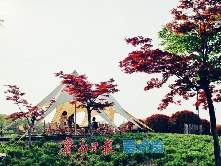 济西湿地春和景明 市民乐享自然野趣