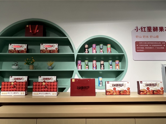 红山楂变身“金疙瘩”，解锁“亿元村”致富密码