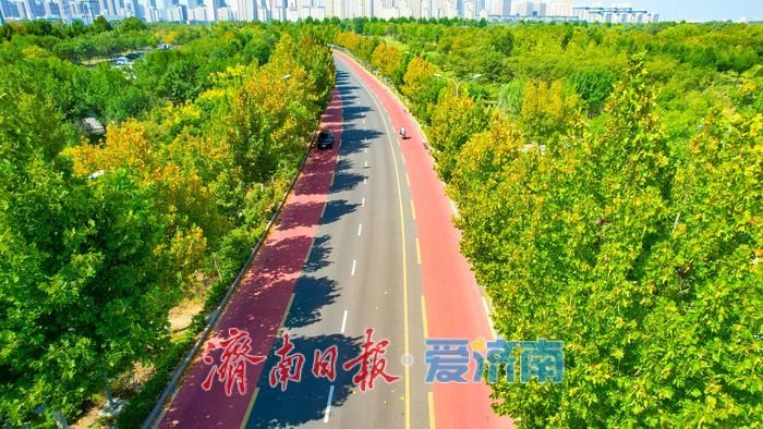 济南光华大道邂逅初秋醉人风光