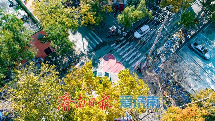 树影婆娑间，邂逅济南最温柔的秋天