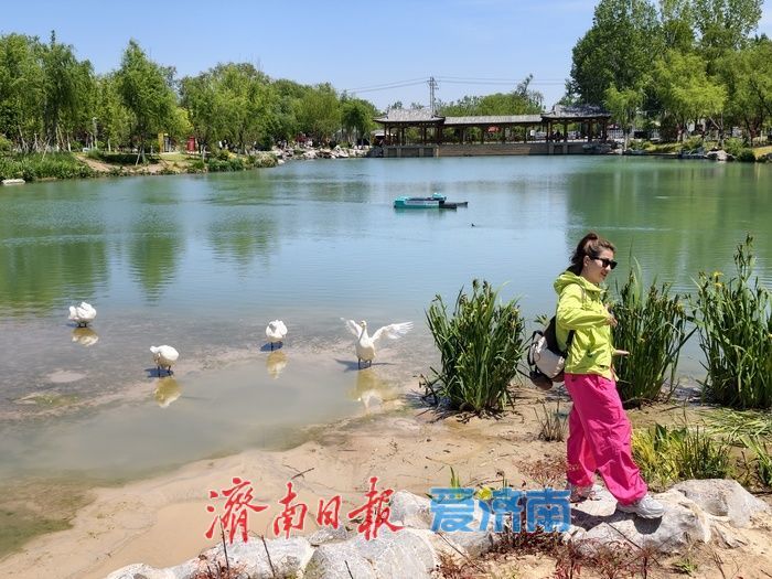 初夏泉畔，尽显生态宜居新貌