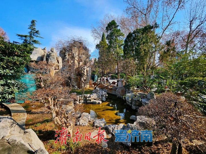 一年四季 泉在济南丨济南中山公园冬韵悠悠