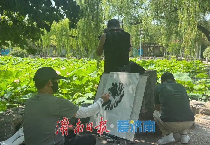 一年四季 泉在济南丨夏日荷花之约，快来泉城公园