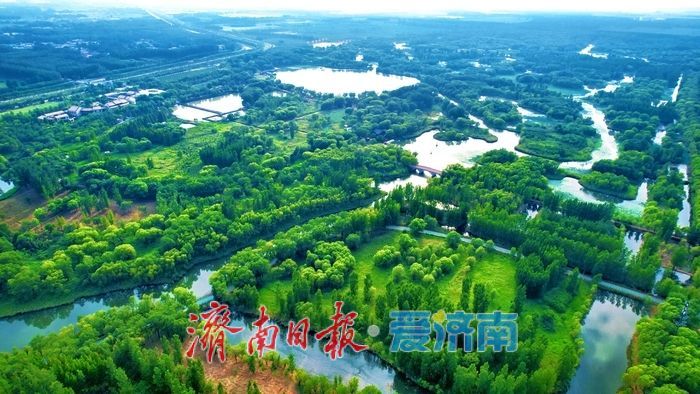 初秋画卷徐徐展开，济西湿地引客来