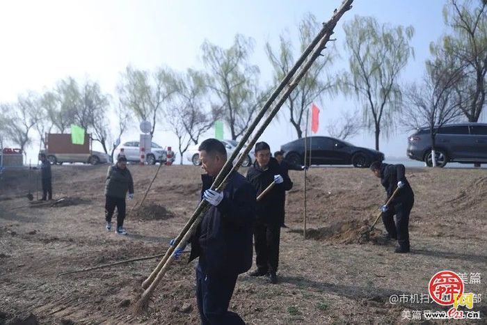 植绿护绿·共筑美好家园  济南市机械化清扫大队组织开展义务植树活动