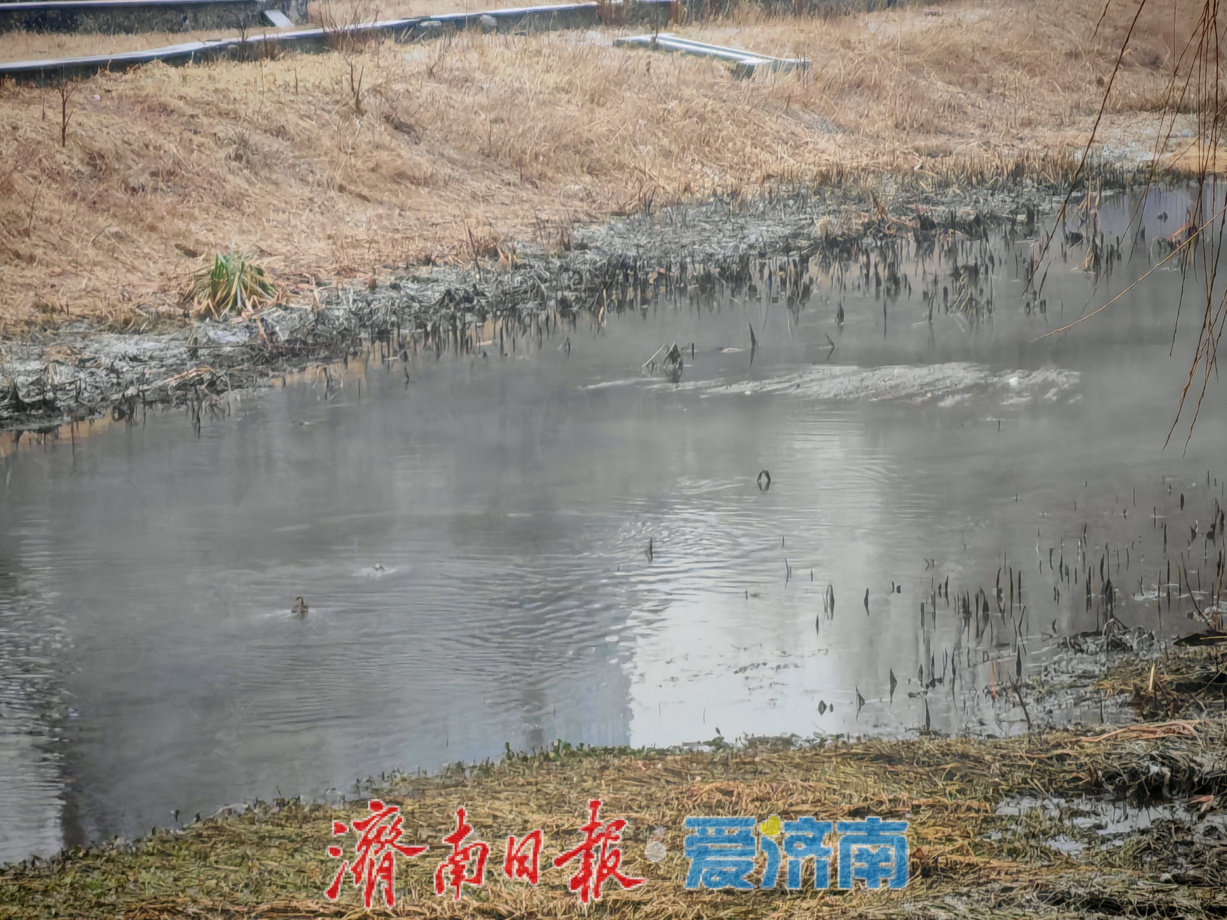 一年四季 泉在济南丨腊山河冬日现“仙境”  温差云雾绘就生态画卷