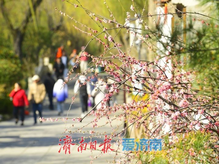 明湖春日小景多姿多彩，你动心了吗？