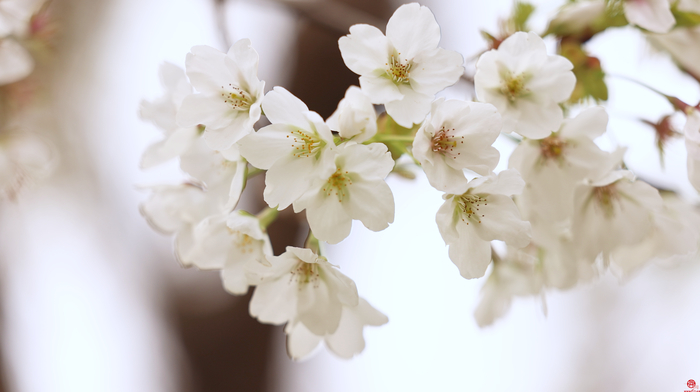 “醉”美五龙潭