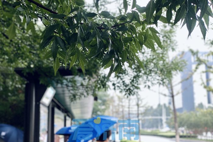 注意添衣！未来三天济南晴天回归温差较大，最低气温已不足20℃