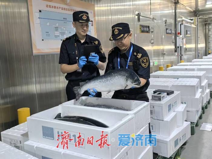 一桶油与一座城的开放格局之变