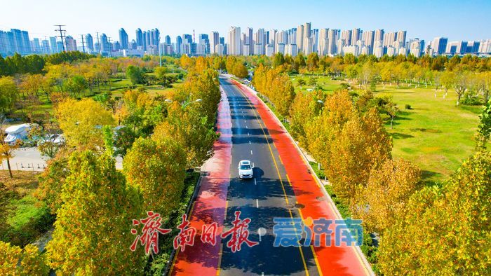 秋日彩叶映通途 一路风光伴出行