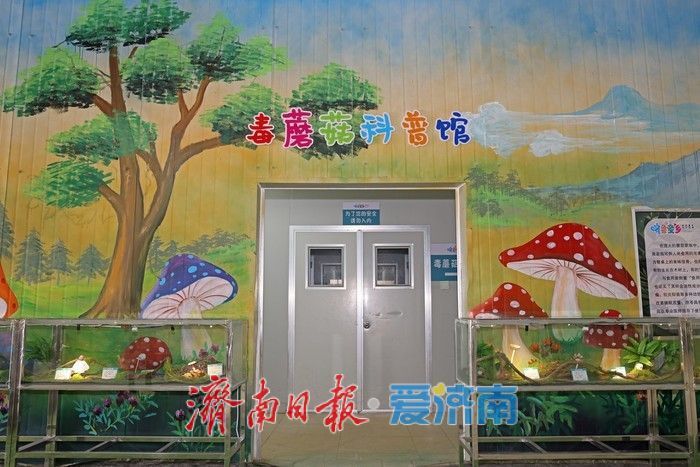 热度拉满！齐鲁童乡成济南亲子出游新晋热门打卡地