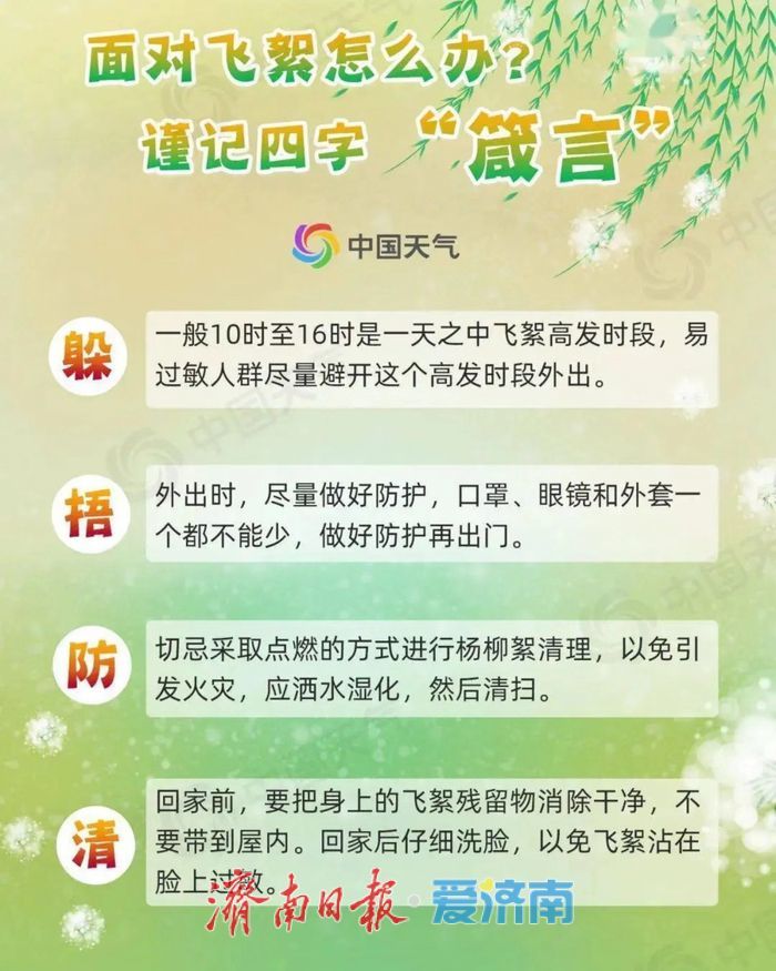 济南飞絮高峰来袭，这些防护措施快收好