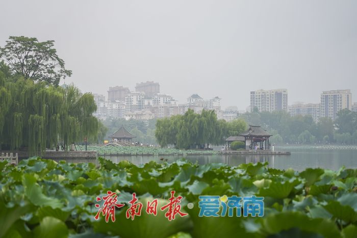 烟雨济南，胜似江南