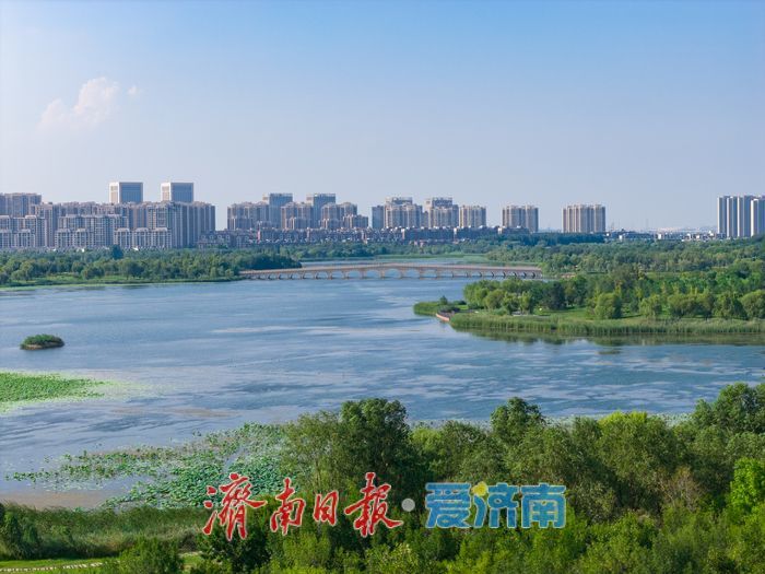 湖畔觅清凉