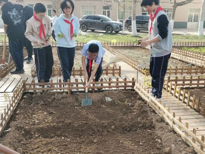 高新区科航路学校的劳动教育上到了学生心坎里