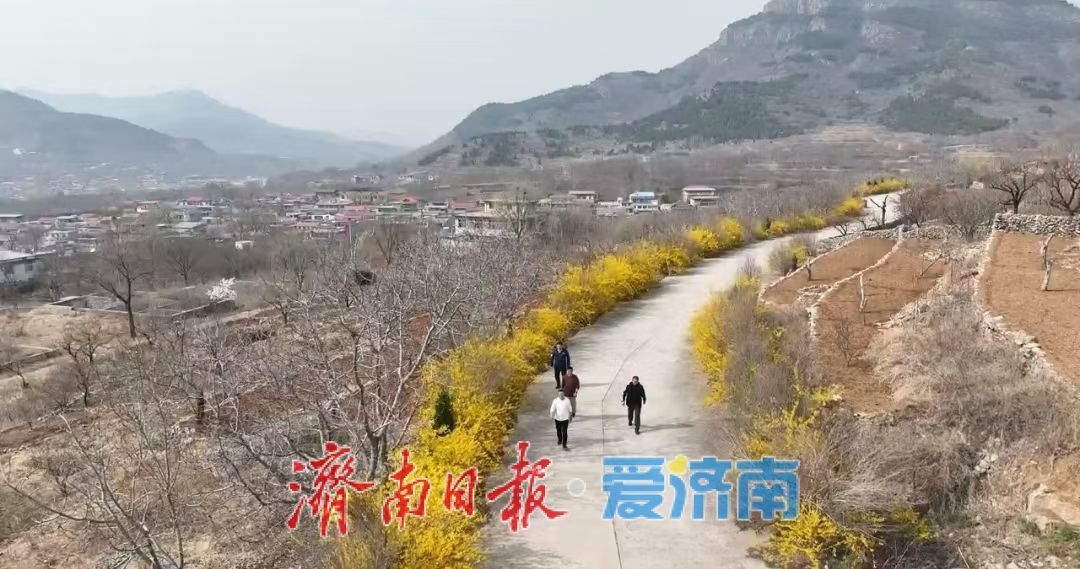 南部山区花开了，你来玩吗？高而旅游“一张图”上线，杏花连翘引领春日乡村游热潮