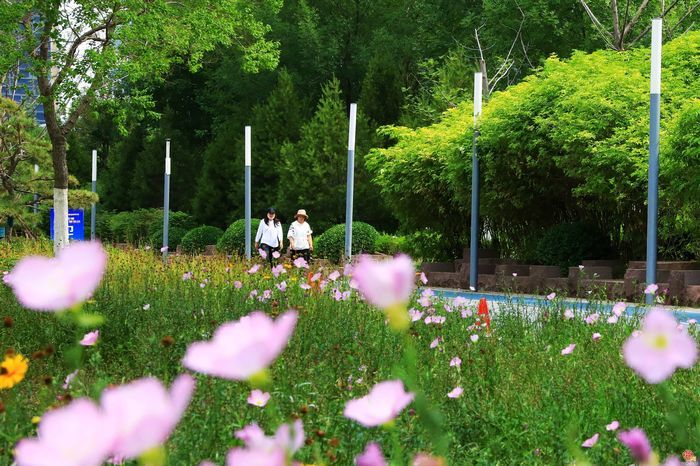 高质量发展开新局 强省会建设走在前 历下：向着国际化一流中心城区疾步向前