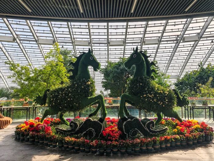 集合400余件水仙雕刻艺术精品！济南这场艺术展开展，将持续至正月初七