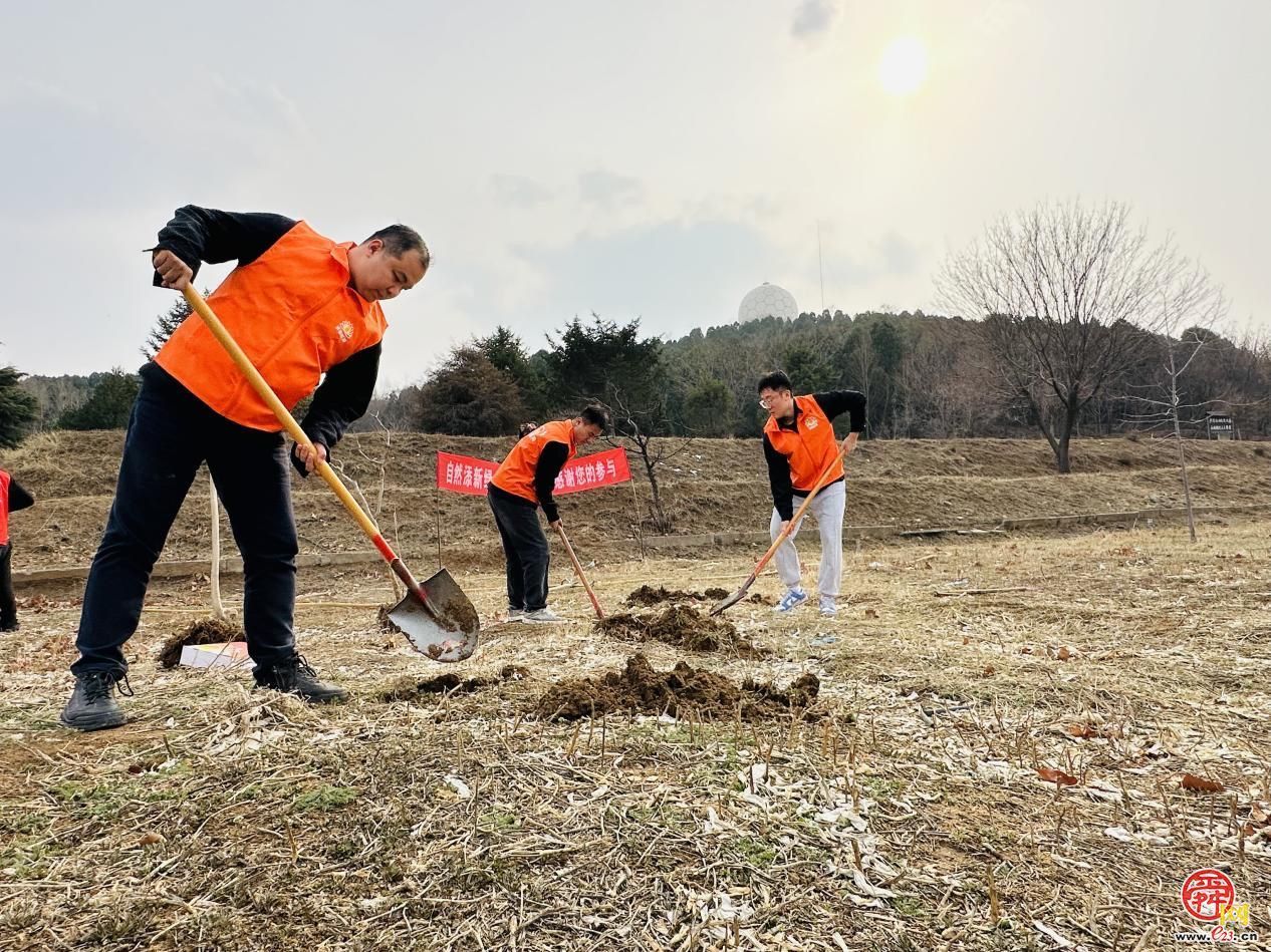 济南能源青年：播种生态幼苗 扛起能源“植”责