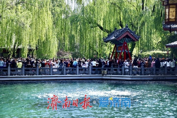 一年四季 泉在济南丨谷雨时节春将尽 趵突泉畔客流涌