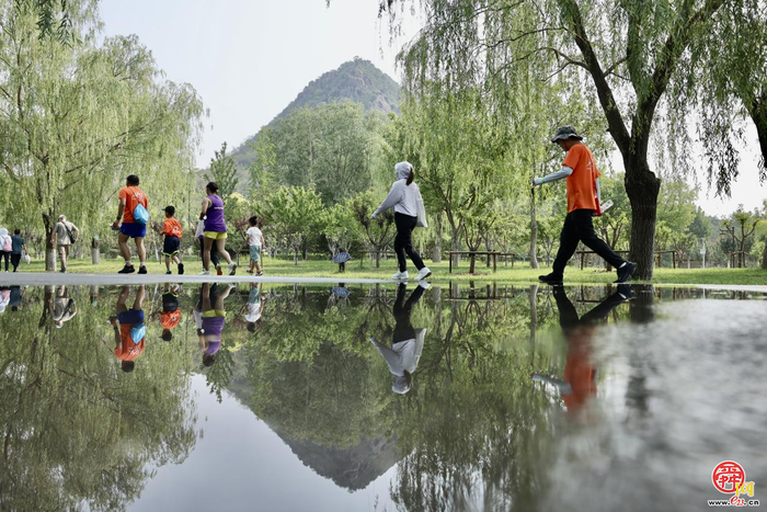 华山青春开跑！济南“一城山色·登山打卡”激活“信用赋能·生态聚才”强磁场