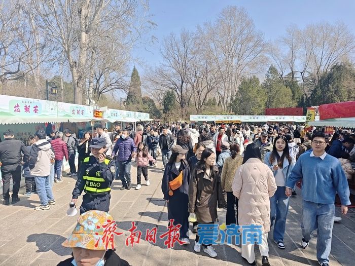济南百花公园玉兰盛放 花朝市集点亮春日盛宴