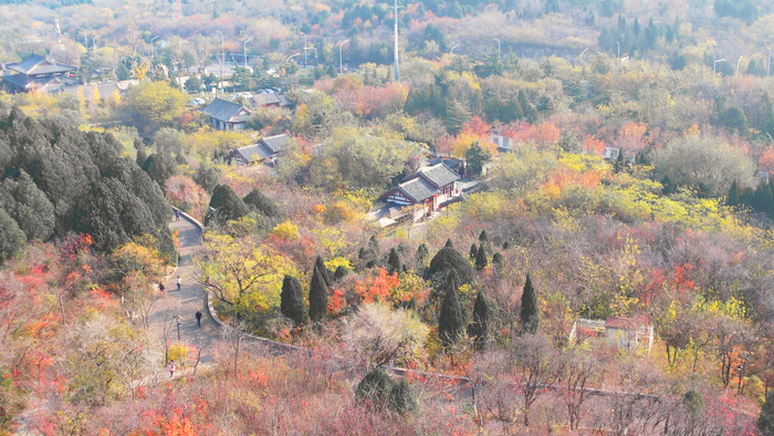 初冬的佛慧山层林尽染美不胜收