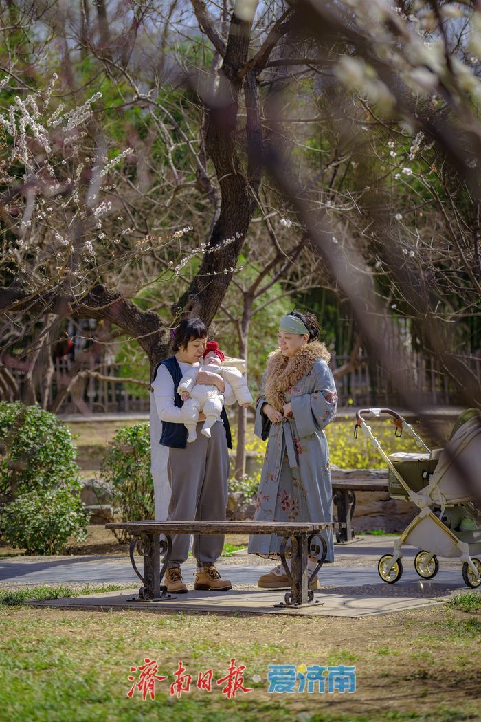 一年四季 泉在济南丨迎春花、玉兰、梅花竞相绽放，泉城公园一派春意盎然