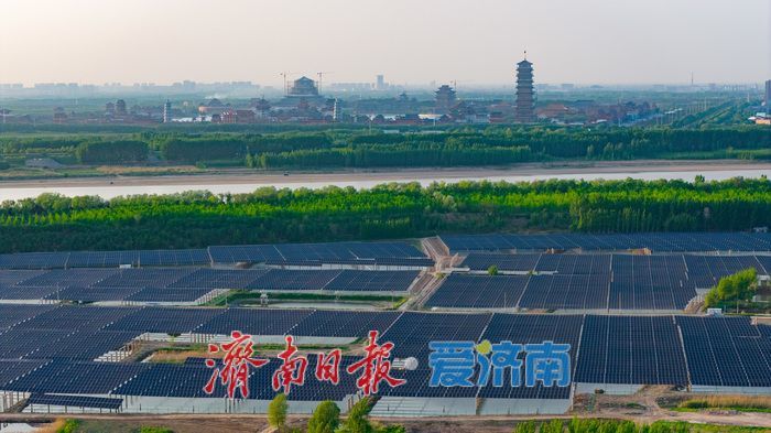 济南首个“渔光互补”光伏项目并网 一地多用催生绿色振兴新动能