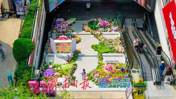 持续焕新！济南老商埠以“打卡点升级”激活百年街区活力