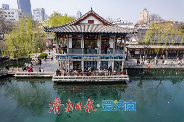 一年四季 泉在济南丨五龙潭春意上线