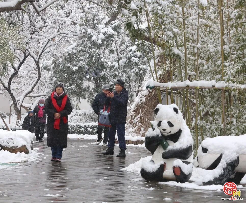 雪漫泉城园 九景入画来