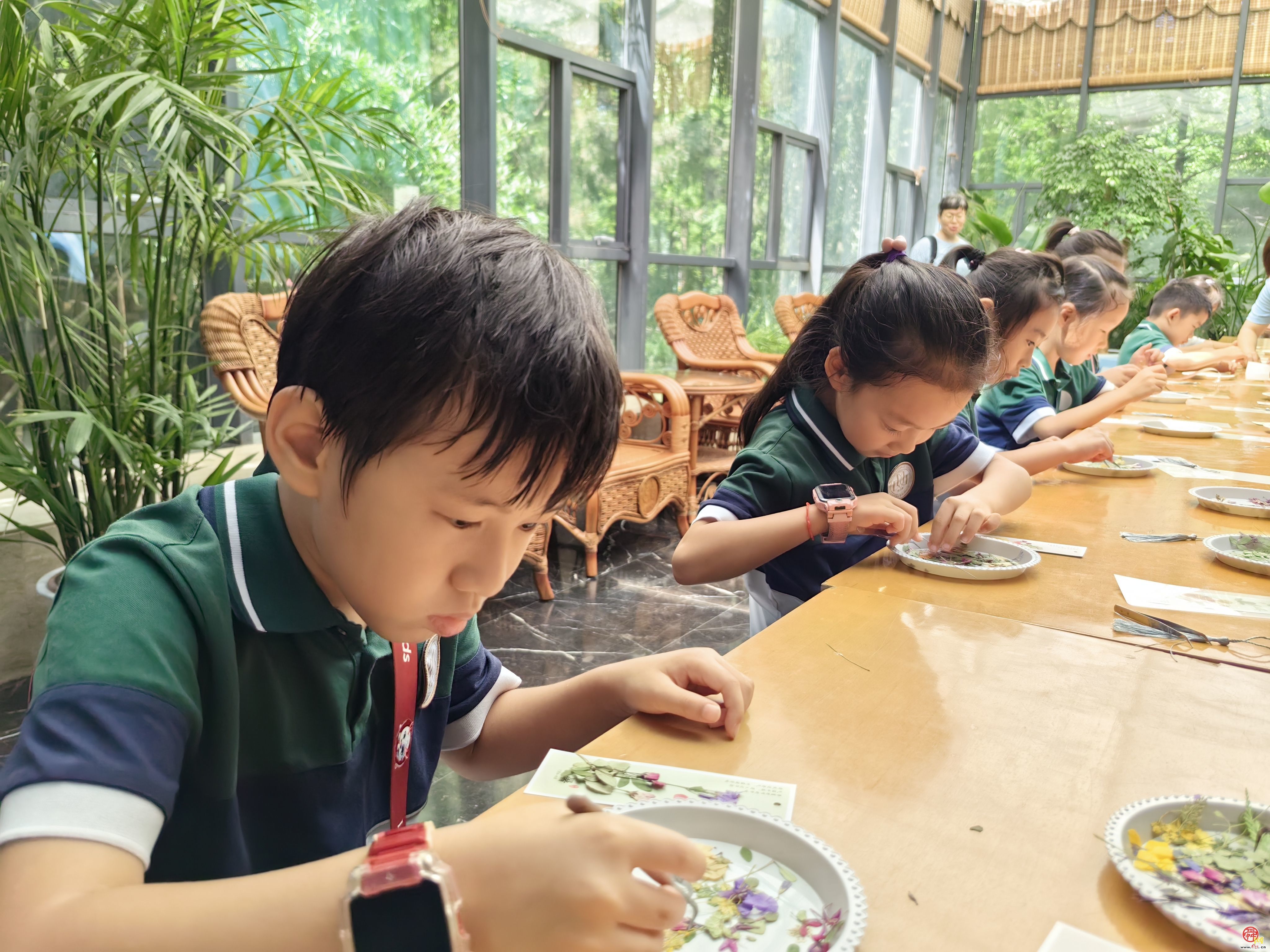 当“植物小侦探”遇上节气押花——济南森林公园这场科普研学活动太有趣了！