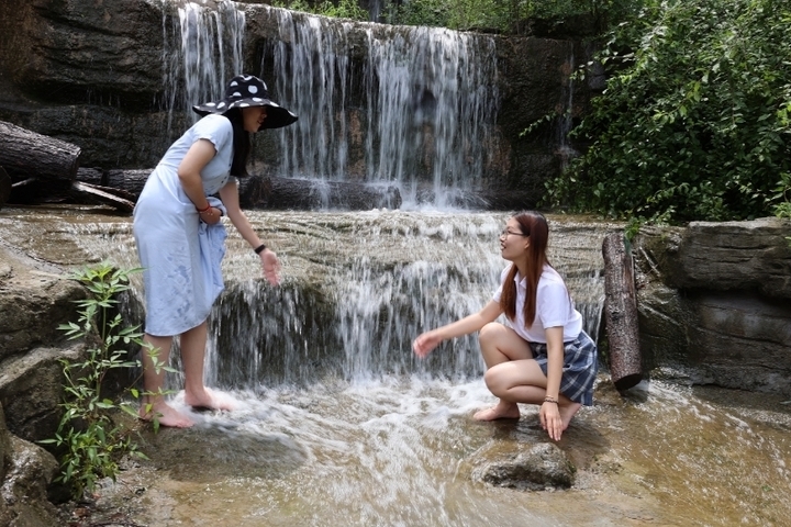 8月1日至8月31日红叶谷景区免费入园啦