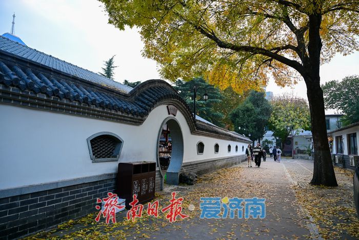 一年四季 泉在济南丨秋染中山公园：一园金色载满城市记忆
