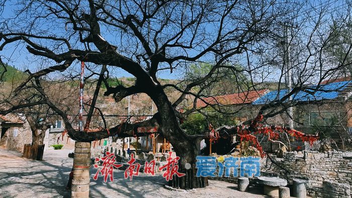 莱芜赵家峪：古村落的尘封记忆