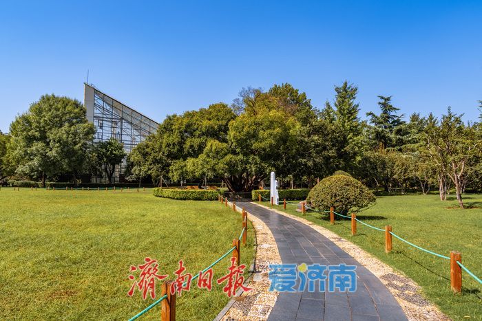 一年四季 泉在济南丨泉城公园：秋光正好，邂逅城市中的自然诗意