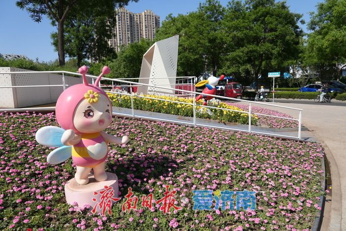 济南西部“七彩花田” 绽放如梦幻调色盘