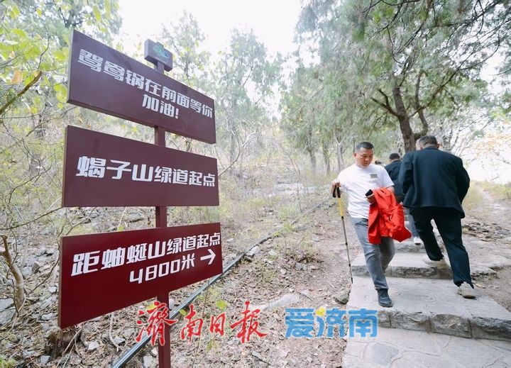 蝎子山一山双色刷屏！红叶盛放，设施提质、服务升级迎客流高峰