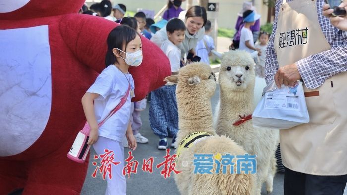 济南这个“网红村”，凭什么逆袭？