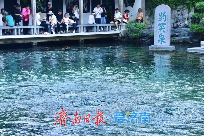 一年四季 泉在济南丨雨后趵突泉水位显著回升 高温天游客赏泉热情不减